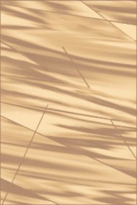 DYWAN KARMEL ARABICA ORZECH Różne rozmiary